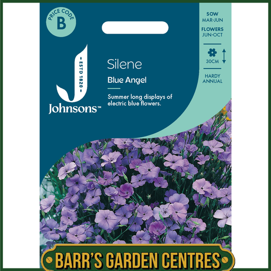Johnsons - Silene Blue Angel - 1000 Seeds