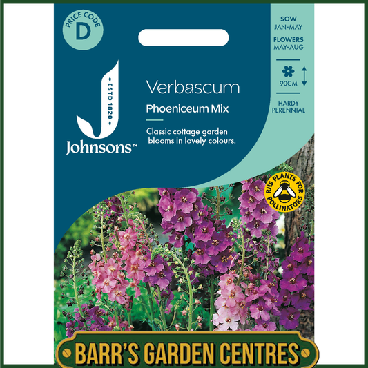 Johnsons - Verbascum Phoeniceum Mix - 500 Seeds