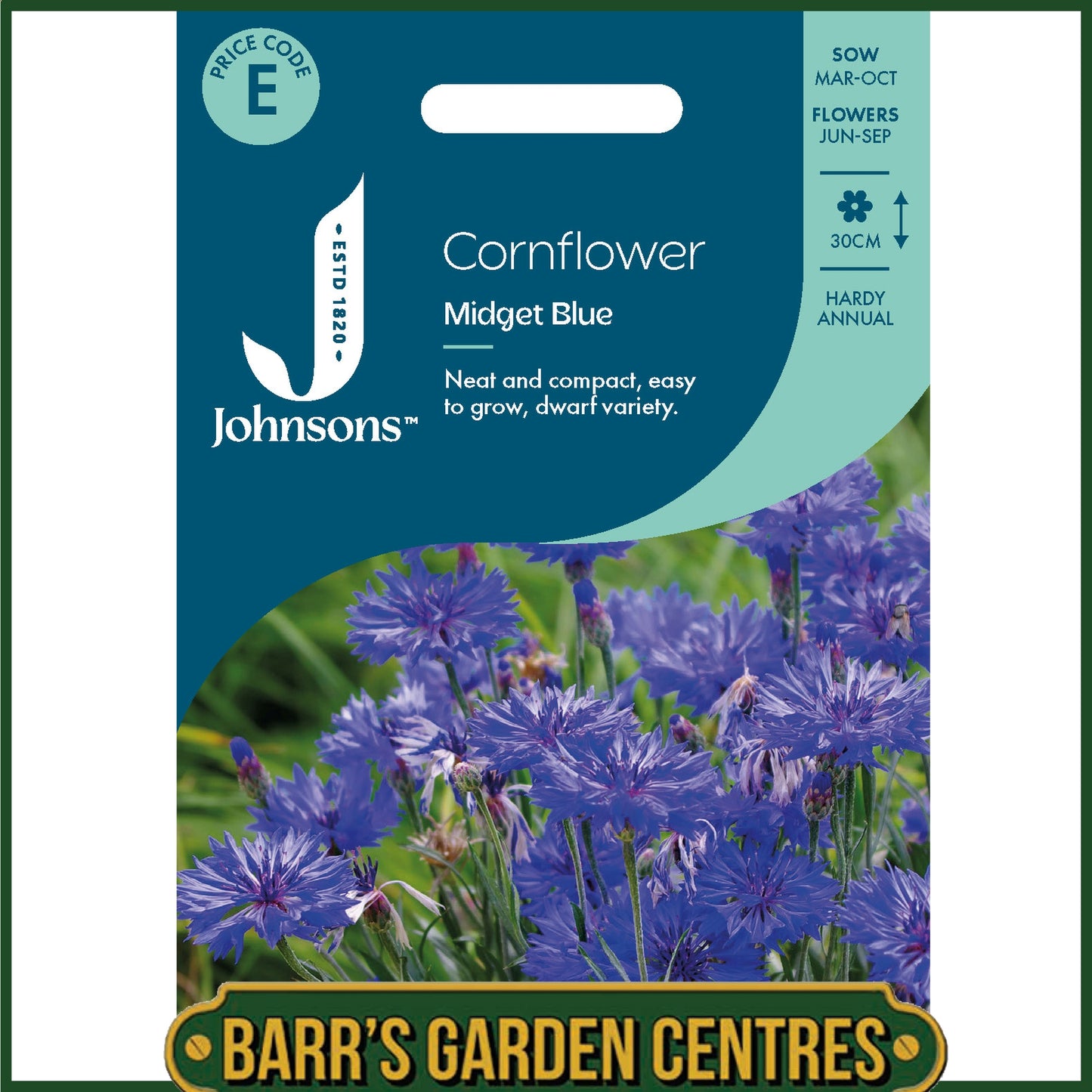Johnsons - Cornflower Midget Blue - 150 Seeds