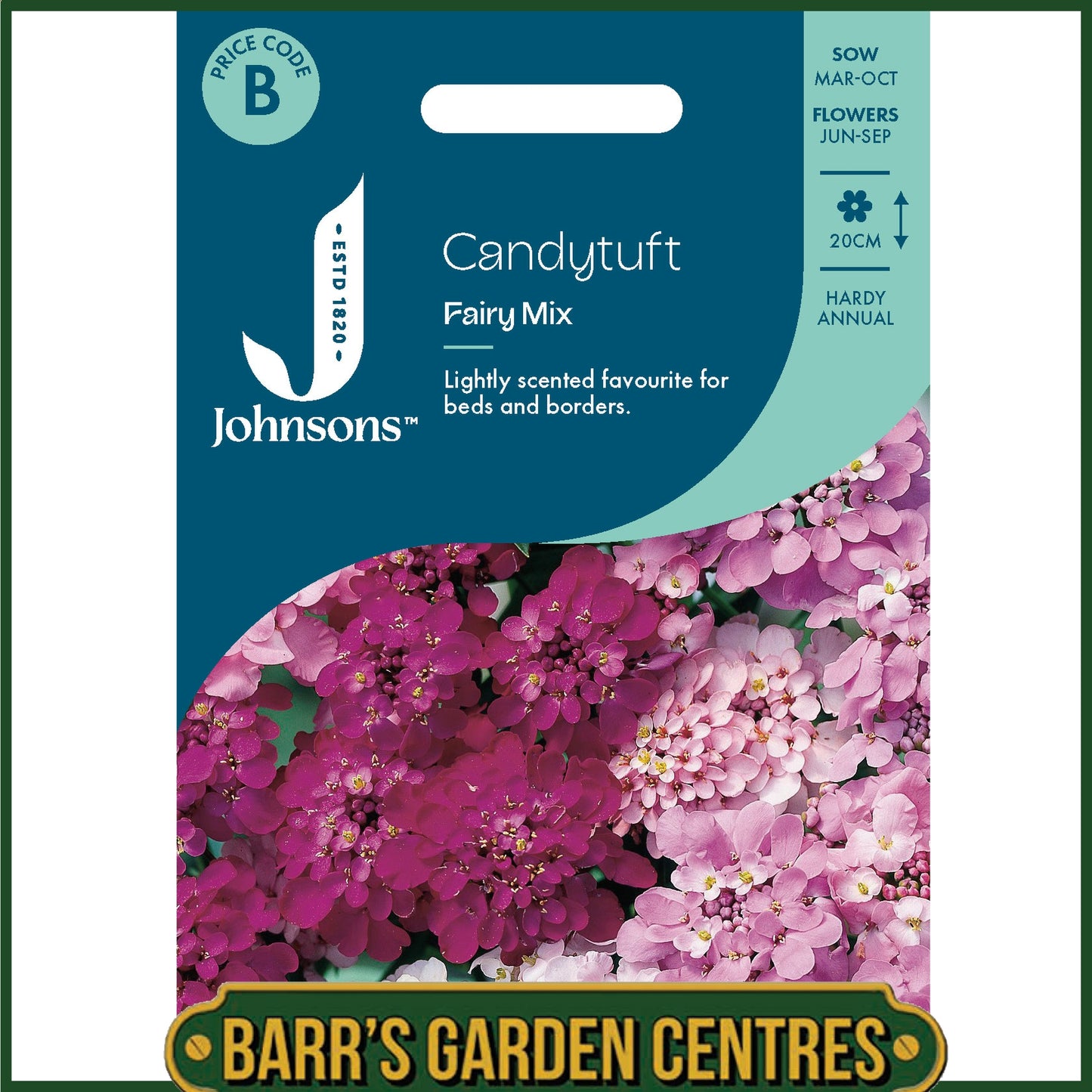 Johnsons - Candytuft Fairy Mix - 500 Seeds