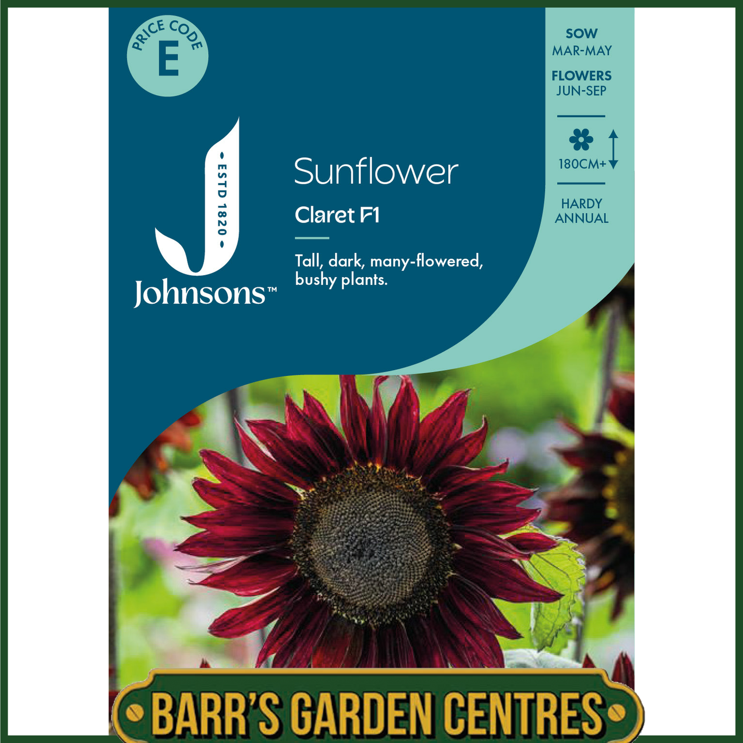 Johnsons - Sunflower Claret F1 - 20 Seeds