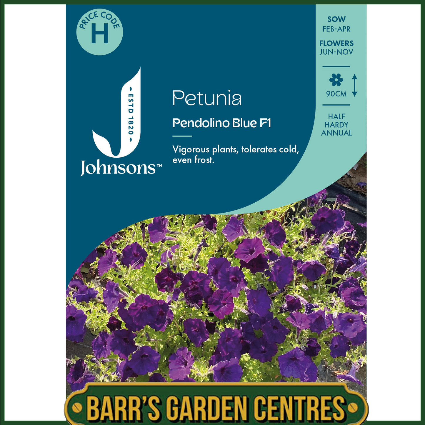 Johnsons - Petunia Pendolino Blue F1 - 10 Seeds