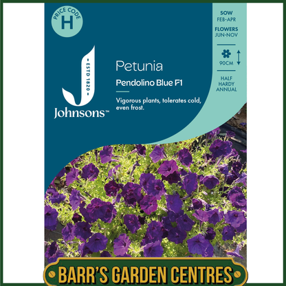 Johnsons - Petunia Pendolino Blue F1 - 10 Seeds