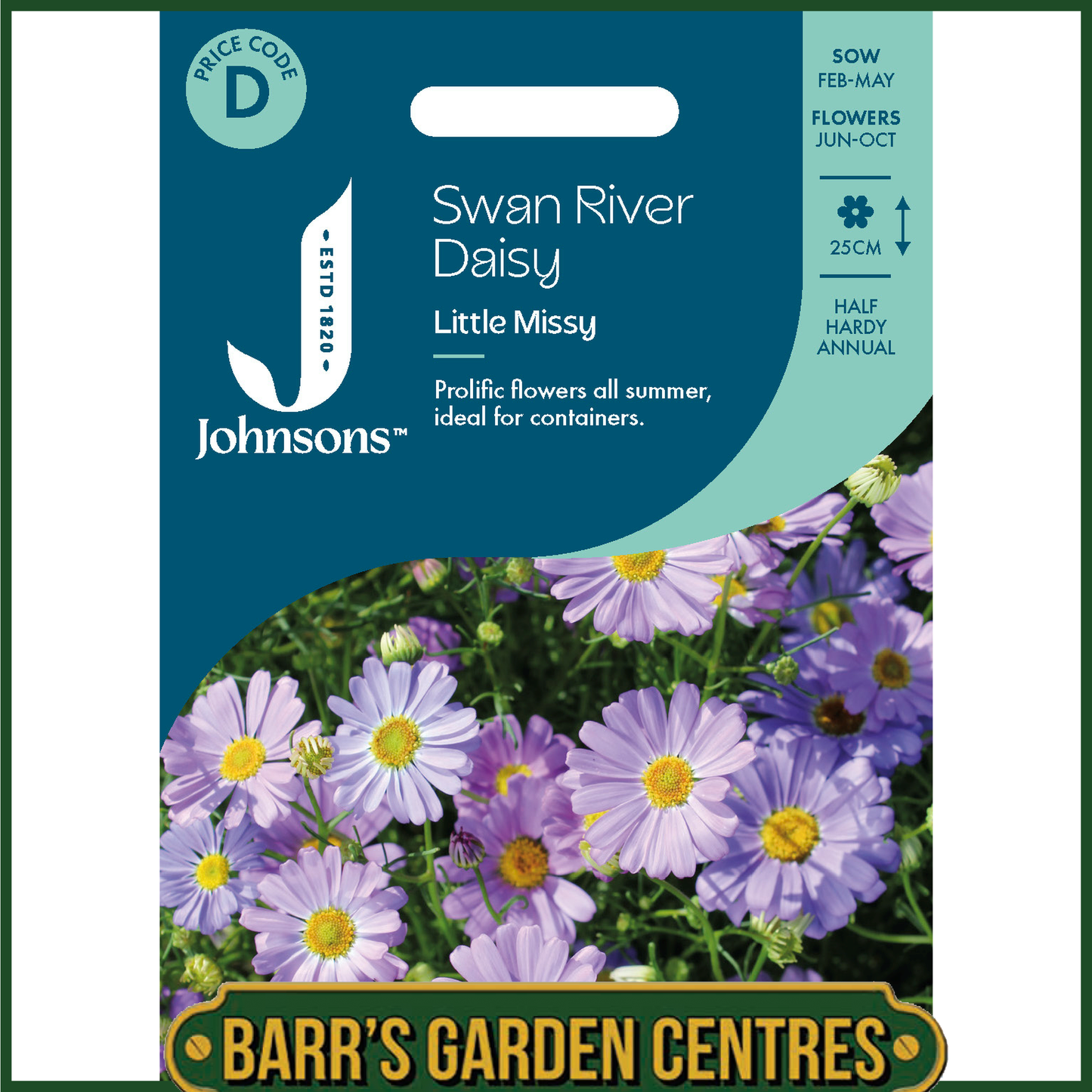 Johnsons - Swan River Daisy Little Missy - 250 Seeds