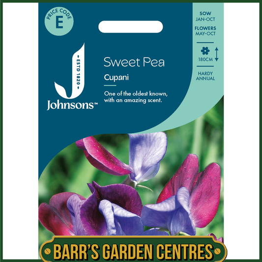 Johnsons - Sweet Pea Cupani - 25 Seeds