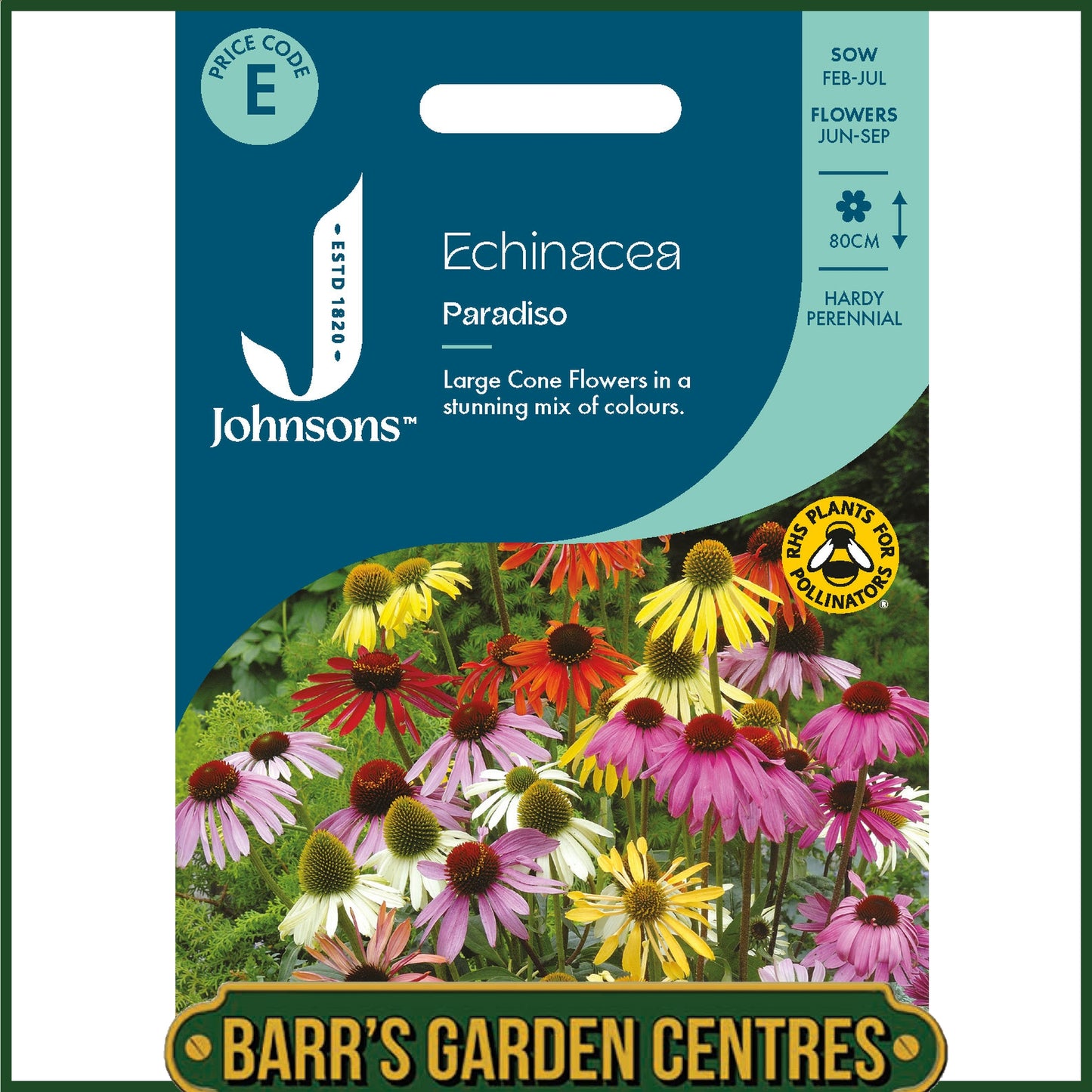 Johnsons - Echinacea Paradiso - 20 Seeds