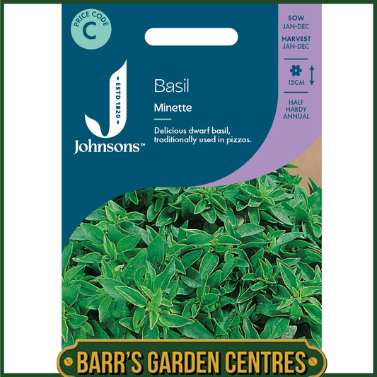 Johnsons - Herb - Basil Minette - 300 Seeds