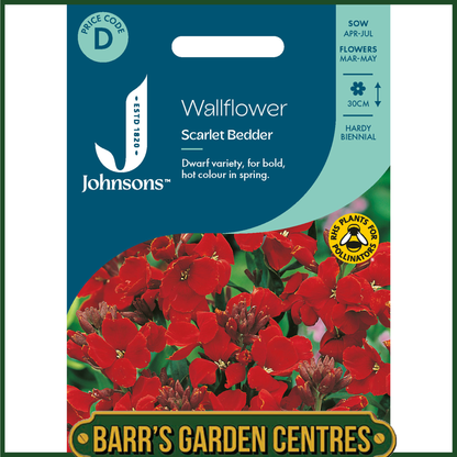 Johnsons - Wallflower Scarlet Bedder - 500 Seeds