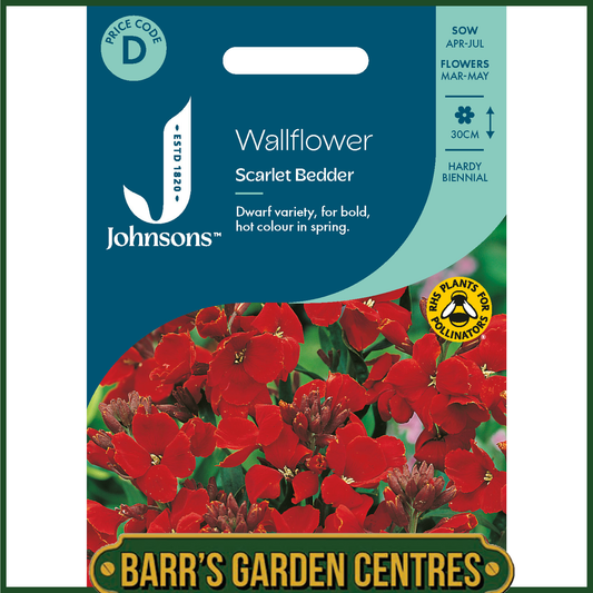 Johnsons - Wallflower Scarlet Bedder - 500 Seeds