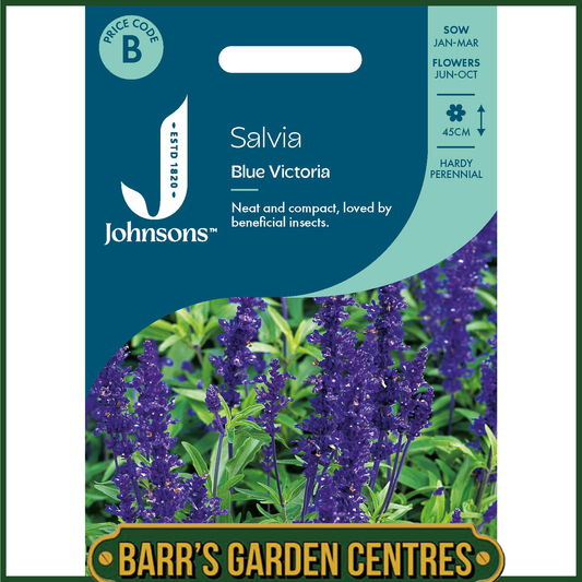 Johnsons - Salvia Blue Victoria - 250 Seeds
