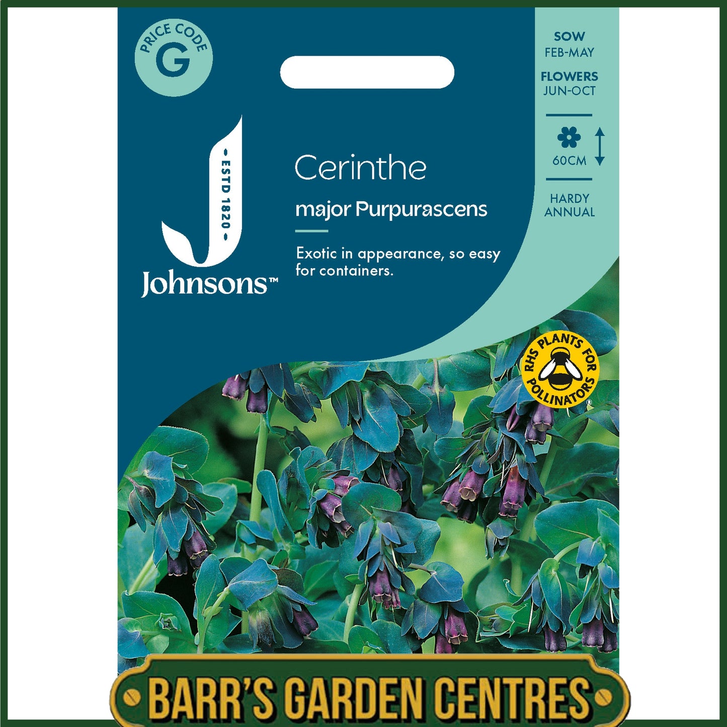 Johnsons - Cerinthe Major Purpurascens - 20 Seeds