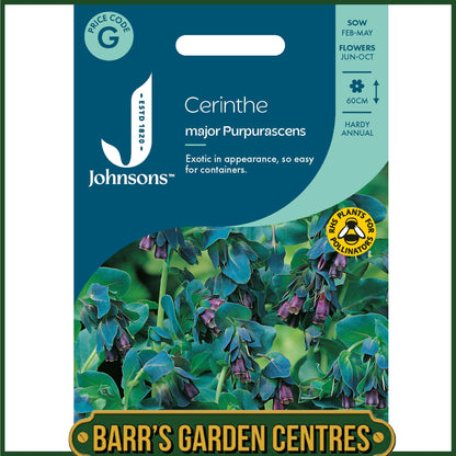 Johnsons - Cerinthe Major Purpurascens - 20 Seeds