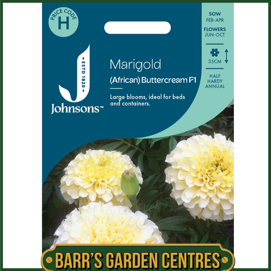 Johnsons - Marigold (African) Buttercream F1 - 20 Seeds