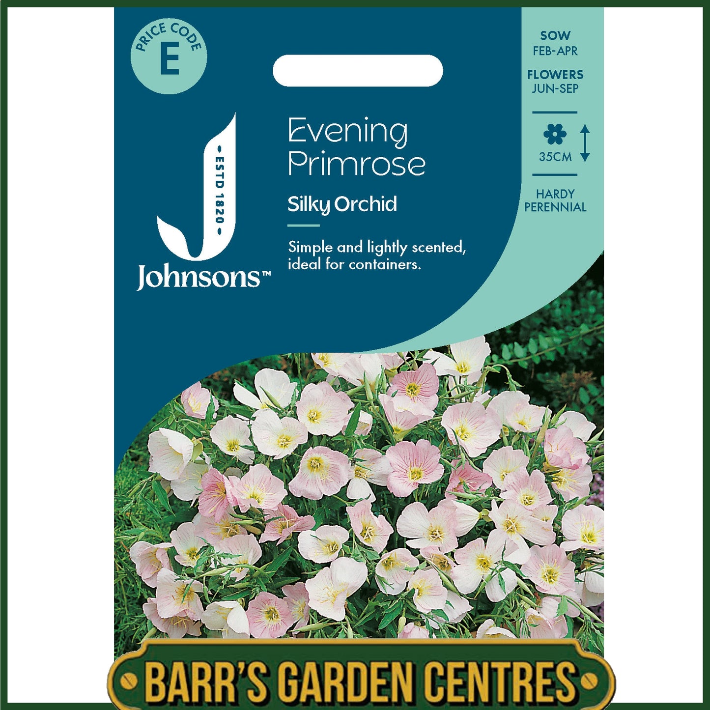 Johnsons - Evening Primrose Silky Orchid - 250 Seeds