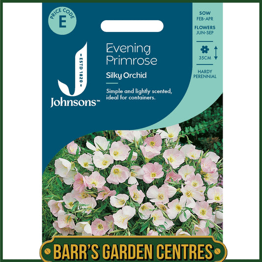 Johnsons - Evening Primrose Silky Orchid - 250 Seeds