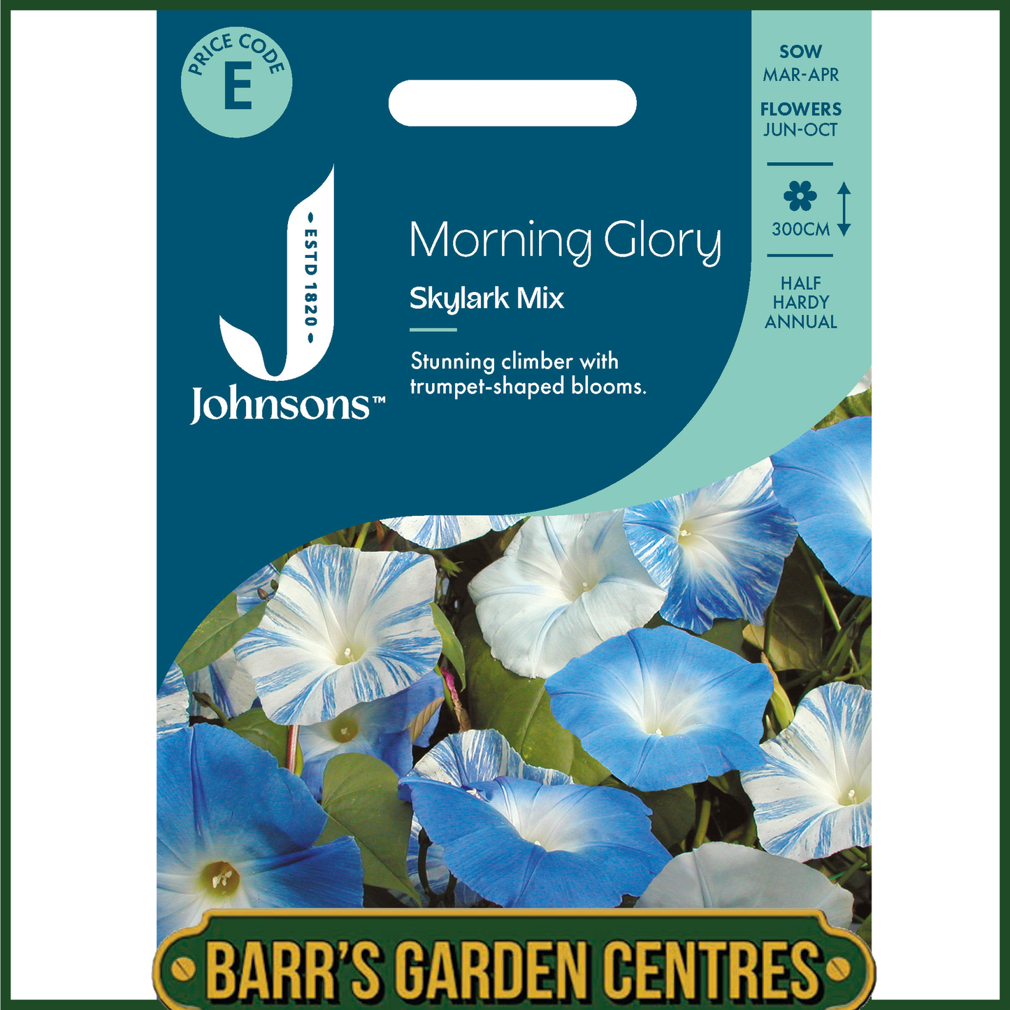 Johnsons - Morning Glory Skylark Mix - 30 Seeds
