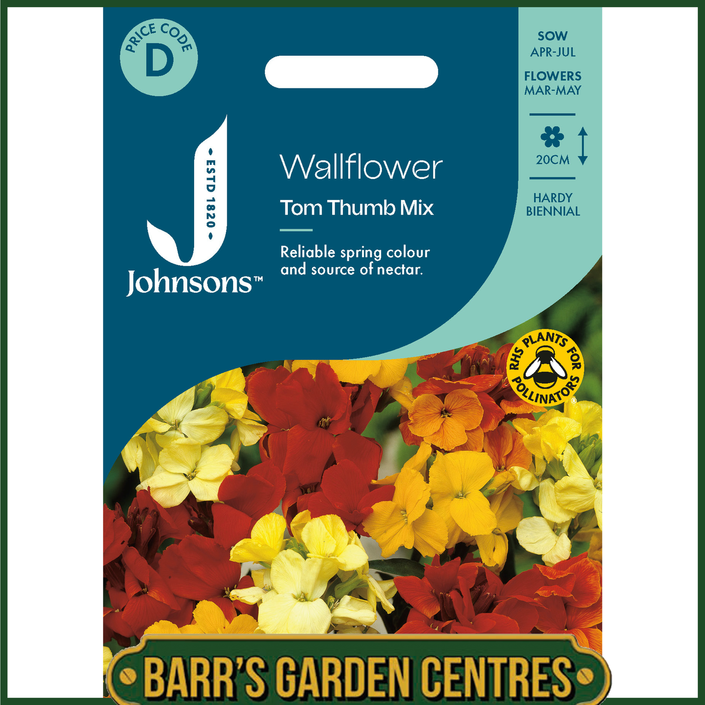 Johnsons - Wallflower Tom Thumb Mix - 300 Seeds