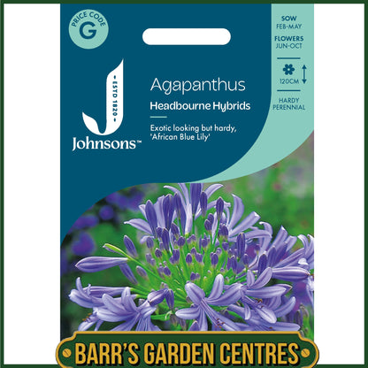 Johnsons - Agapanthus Headbourne Hybrids - 20 Seeds