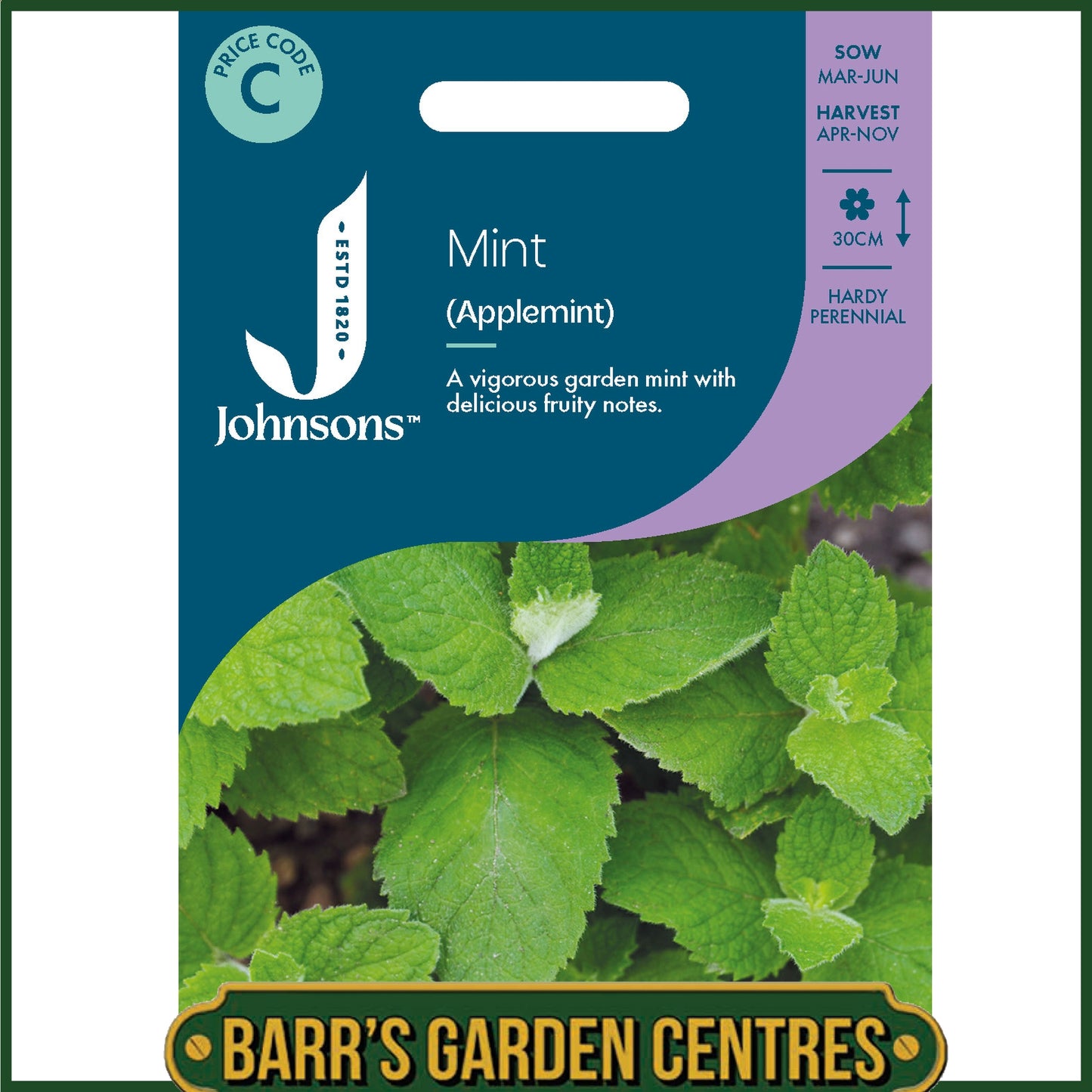 Johnsons - Herb - Mint Applemint - 500 Seeds