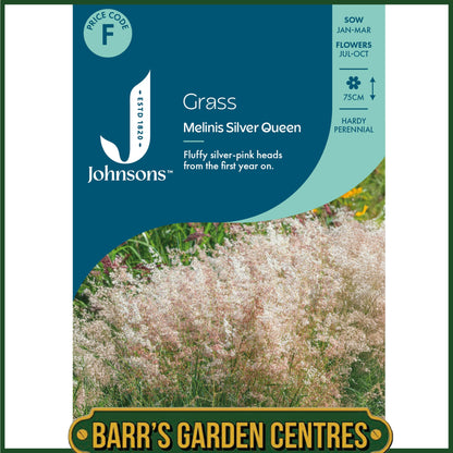 Johnsons - Grass Melinis Silver Queen - 25 Seeds