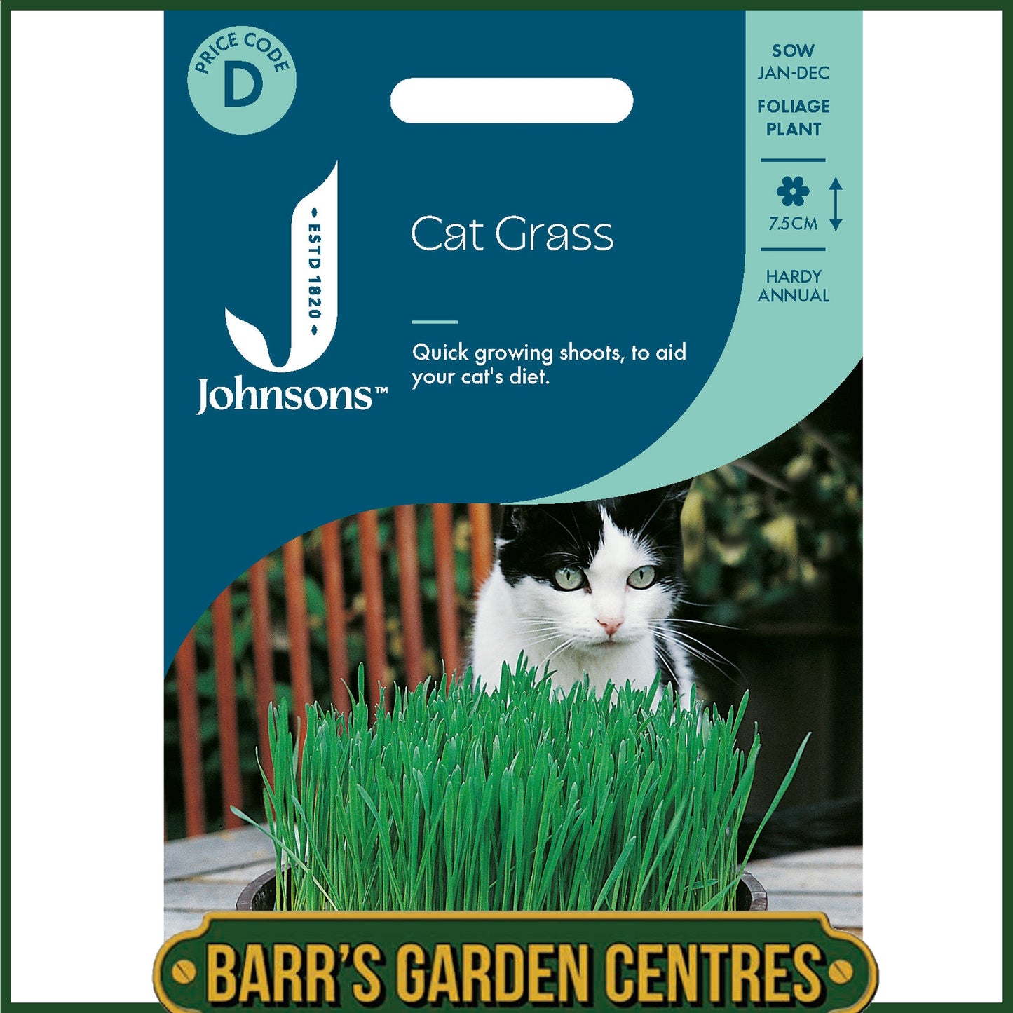 Johnsons - Cat Grass - Avena Sativa - 25g Seeds