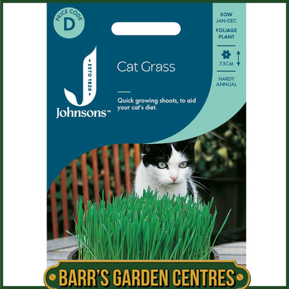 Johnsons - Cat Grass - Avena Sativa - 25g Seeds
