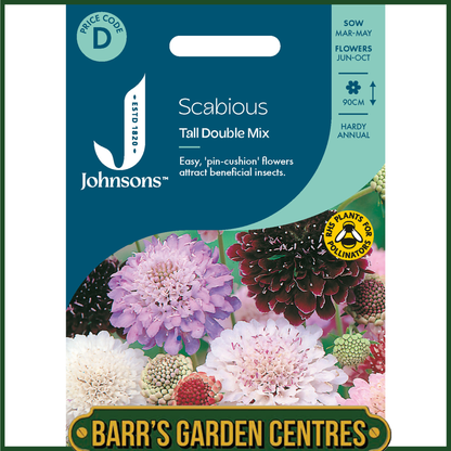 Johnsons - Scabious Tall Double Mix - 75 Seeds