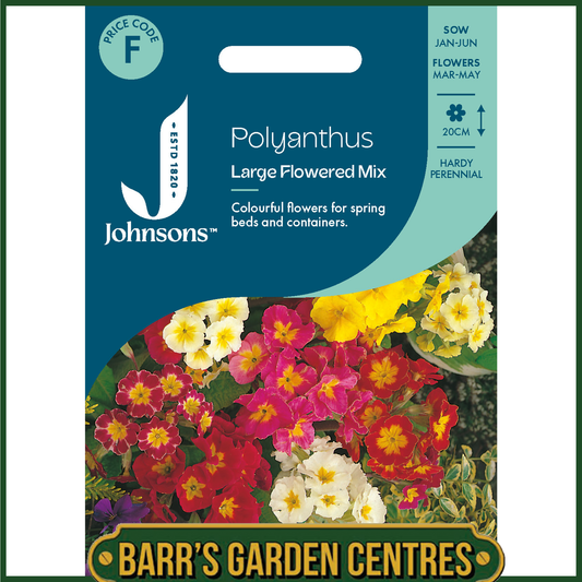 Johnsons - Polyanthus Large Flowered Mix - 100 Seeds