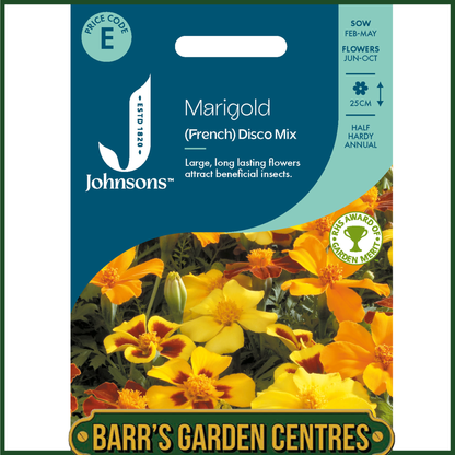 Johnsons - Marigold (French) Disco Mix - 80 Seeds