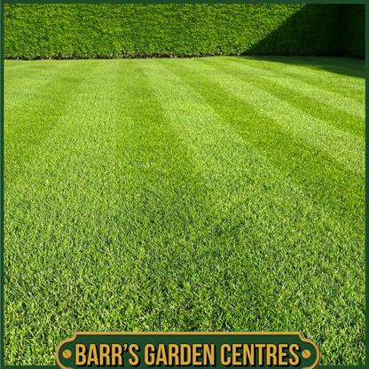 Johnsons Lawn Seed Luxury Lawn (without Ryegrass)