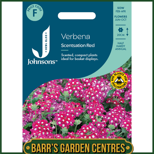 Johnsons - Verbena Scentsation Red - 50 Seeds
