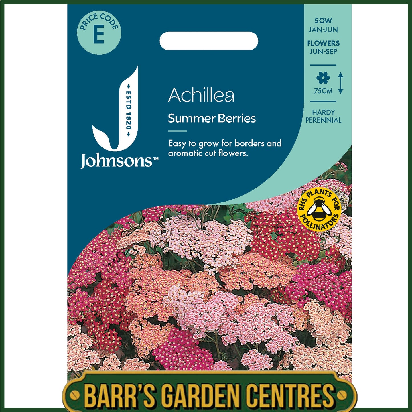 Johnsons - Achillea Summer Berries - 50 Seeds