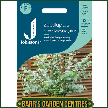 Johnsons - Eucalyptus Pulverulenta Baby Blue - 10 Seeds