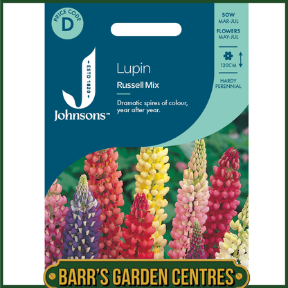Johnsons - Lupin Russell Mix - 60 Seeds