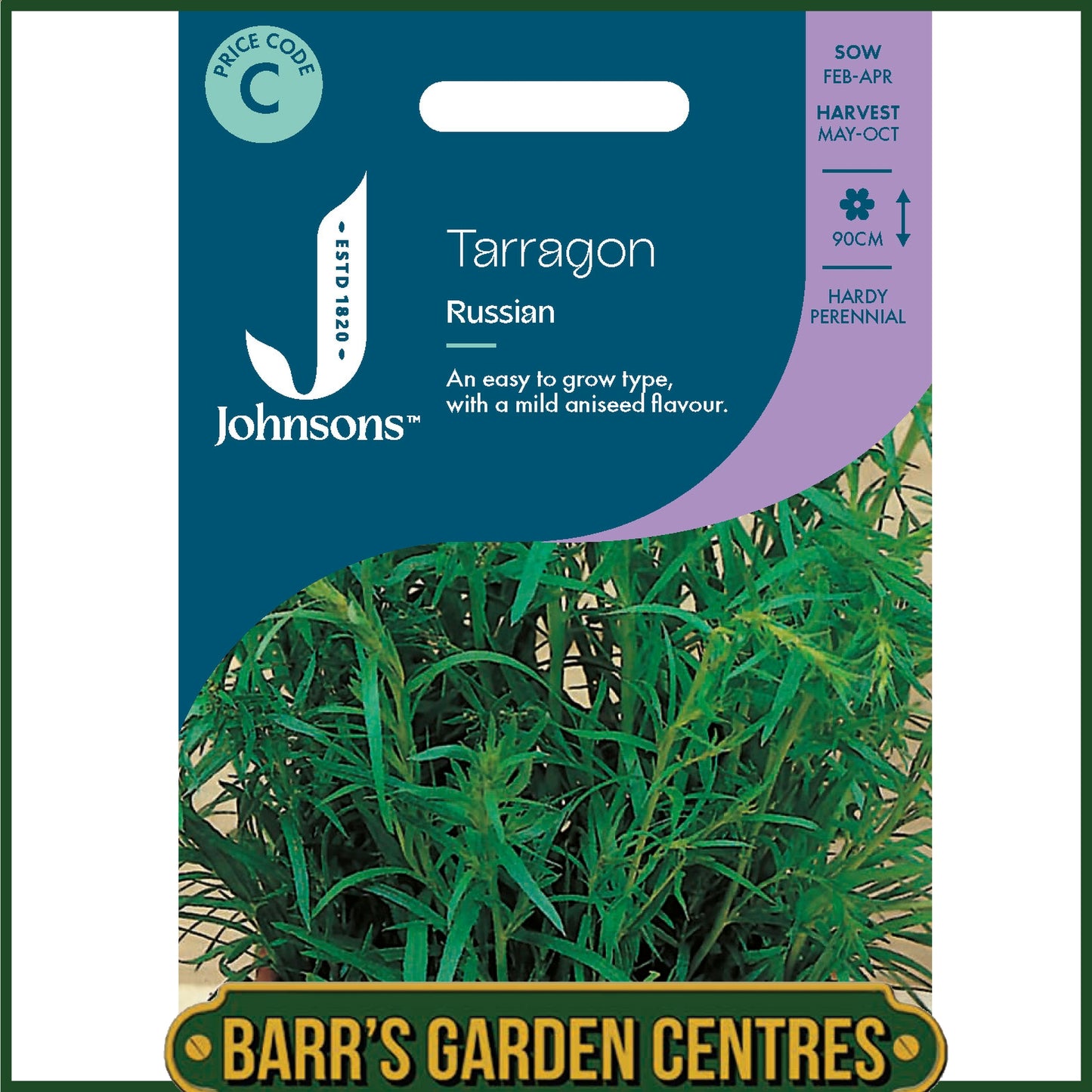 Johnsons - Herb - Tarragon Russian - 350 Seeds