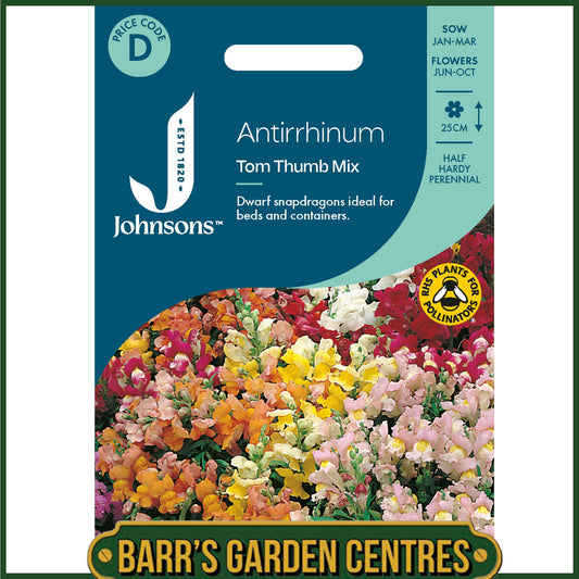 Johnsons - Antirrhinum Tom Thumb Mix - 1500 Seeds