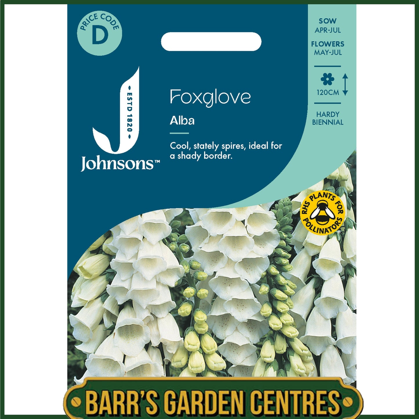 Johnsons - Foxglove Alba - 1000 Seeds