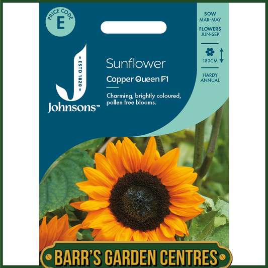 Johnsons - Sunflower Copper Queen F1 - 25 Seeds