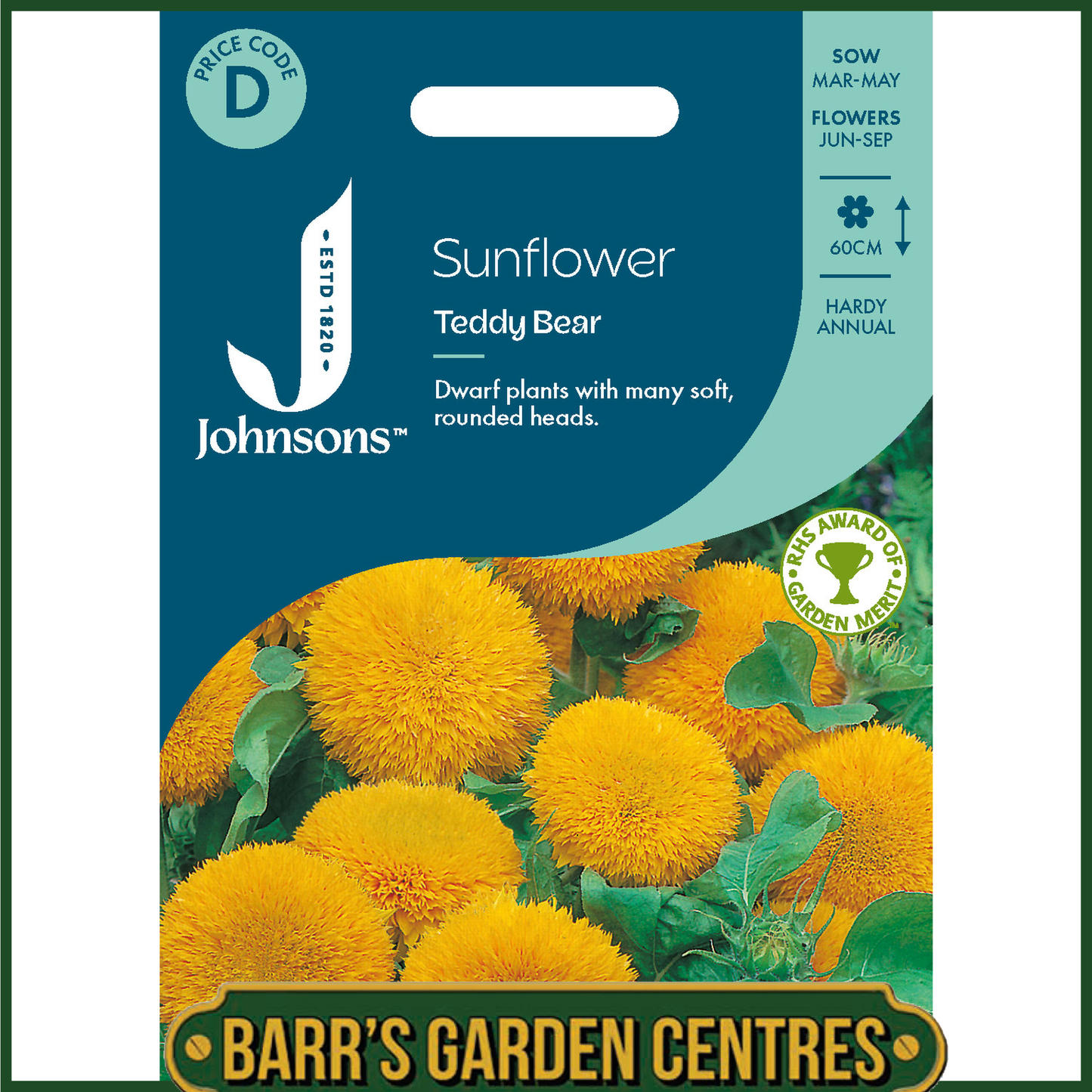 Johnsons - Sunflower Teddy Bear - 40 Seeds