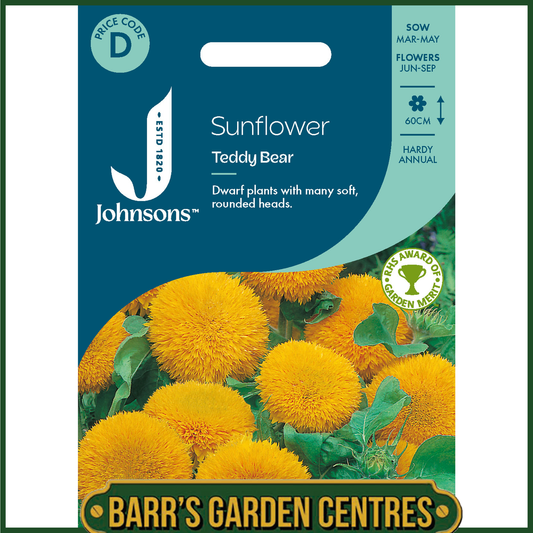Johnsons - Sunflower Teddy Bear - 40 Seeds