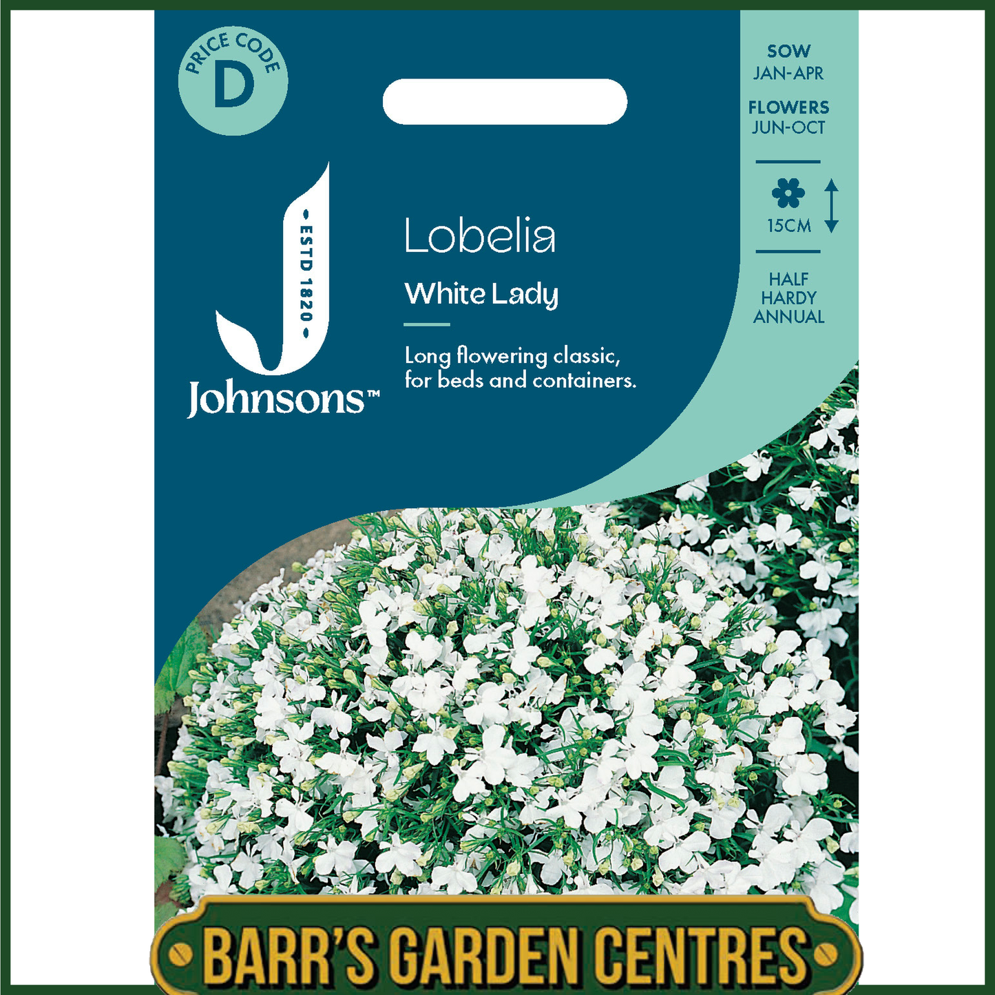 Johnsons - Lobelia White Lady - 2500 Seeds