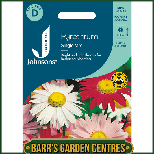 Johnsons - Pyrethrum Single Mix - 125 Seeds