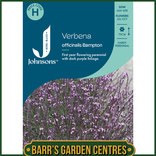 Johnsons - Verbena Officinalis Bampton - 50 Seeds