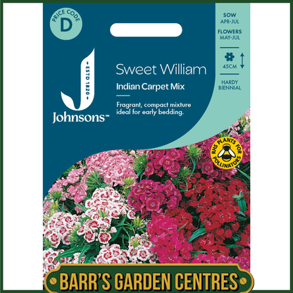 Johnsons - Sweet William Indian Carpet Mix - 400 Seeds