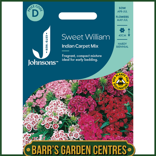 Johnsons - Sweet William Indian Carpet Mix - 400 Seeds