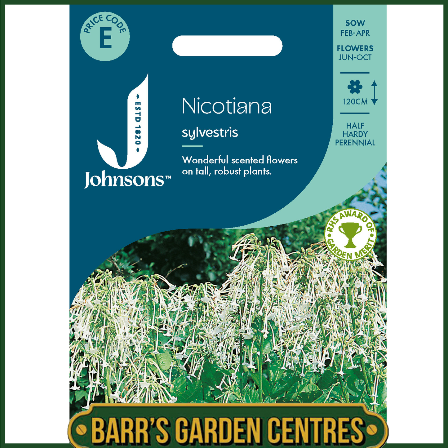 Johnsons - Nicotiana Sylvestris - 2000 Seeds