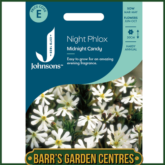 Johnsons - Night Phlox Midnight Candy - 250 Seeds