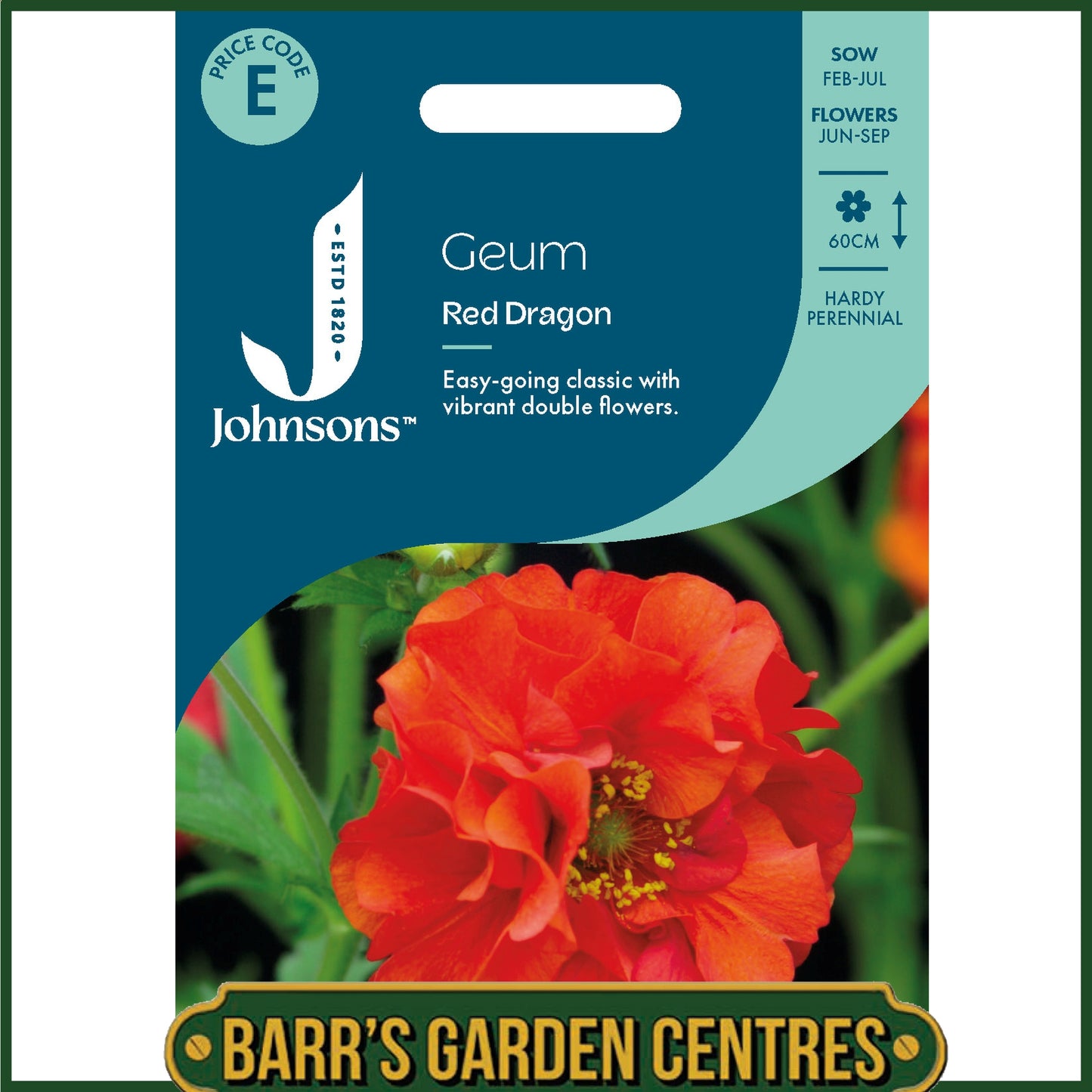 Johnsons - Geum Red Dragon - 30 Seeds