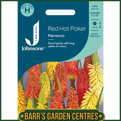 Johnsons - Red Hot Poker Flamenco - 30 Seeds