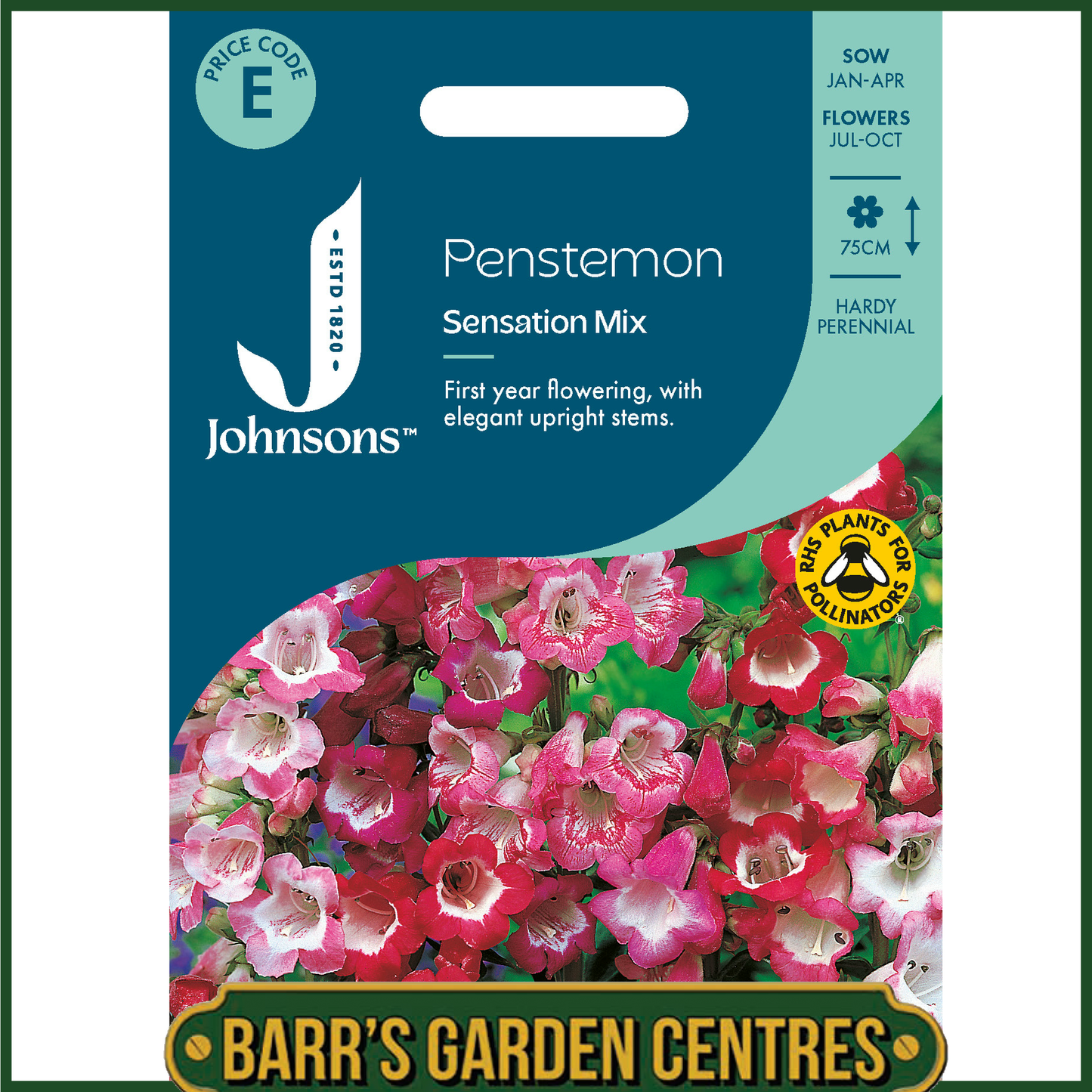 Johnsons - Penstemon Sensation Mix - 500 Seeds